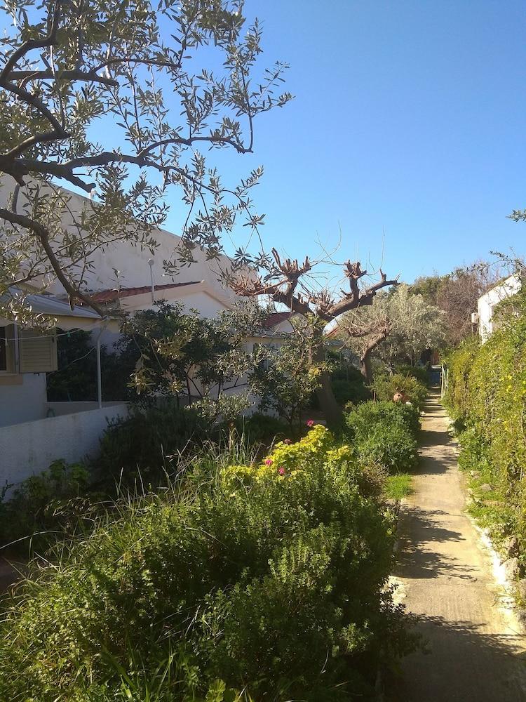 Roula'S Rooms Aegina Екстериор снимка